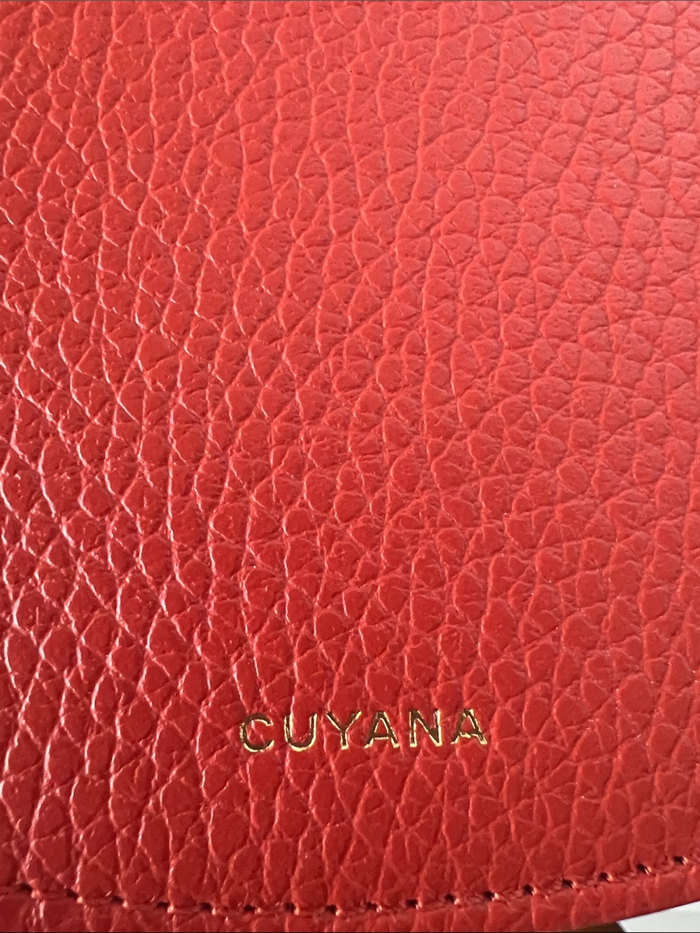 Cuyana double moon crossbody NWOT - Picture 14 of 14